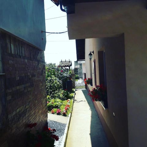 Apartman Darija Apartment in Vojvodina