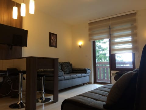 Apartmani u Vili Kopaonik Apartment in Serbia