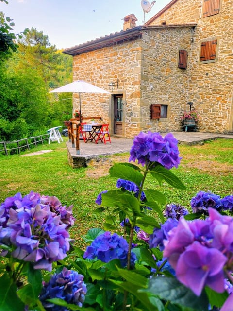 Property building, Day, Summer, Garden, Garden view