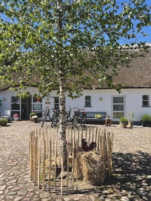 Facade/entrance, Lobby or reception