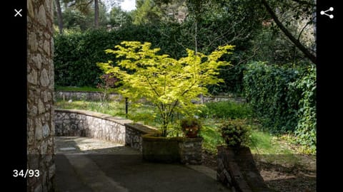 Spring, Natural landscape, Garden