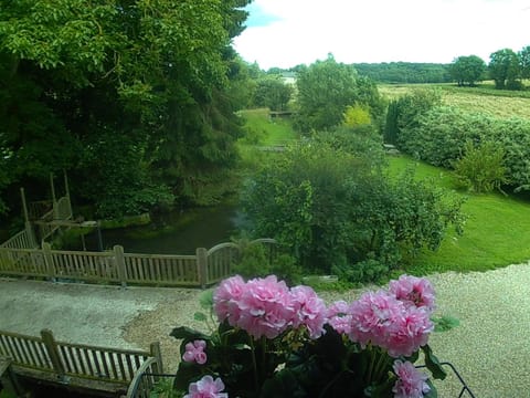Natural landscape, Garden view