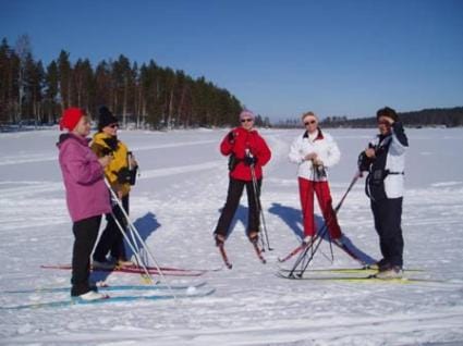 Cottages SAA House in Finland