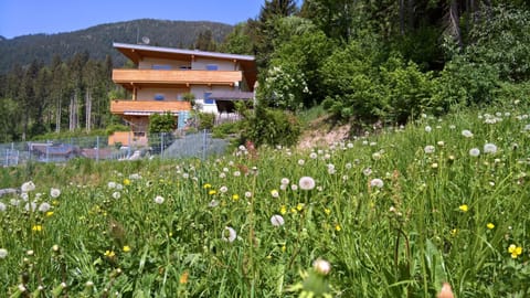 Property building, Summer