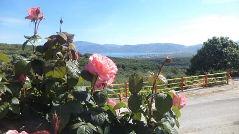 Mountain view, Sea view