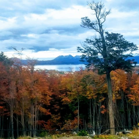 Natural landscape, Autumn, Mountain view, Sea view