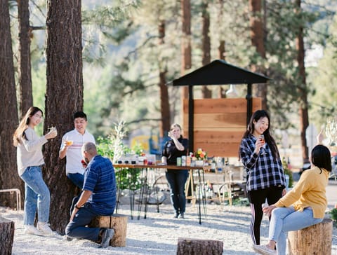 Food and drinks, Guests, group of guests