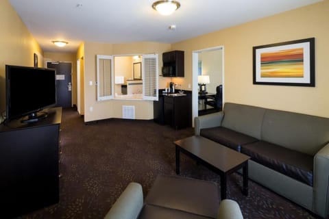 Holiday Inn Express and Suites Detroit North-Troy by IHG Hotel in Royal Oak