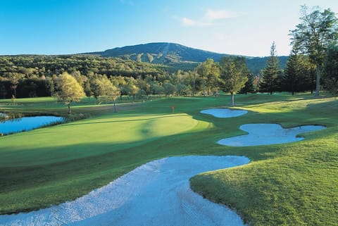 Golfcourse
