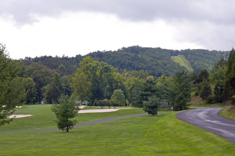 Area and facilities