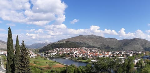 Natural landscape, River view