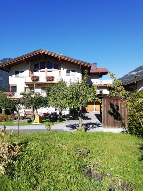 Property building, Day