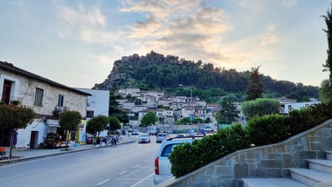 Day, Neighbourhood, Natural landscape, City view, Mountain view, Street view