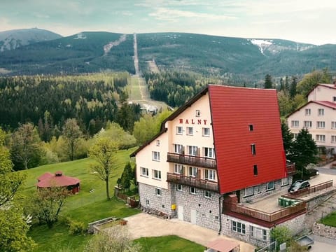 Bird's eye view, Mountain view
