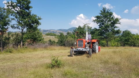 Apartmani Andrej Apartment in Zadar County