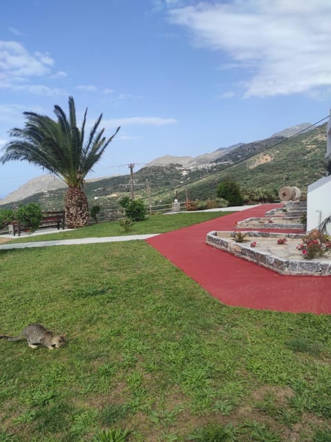 Chrisanthi Studios & Apartments Apartment in Crete