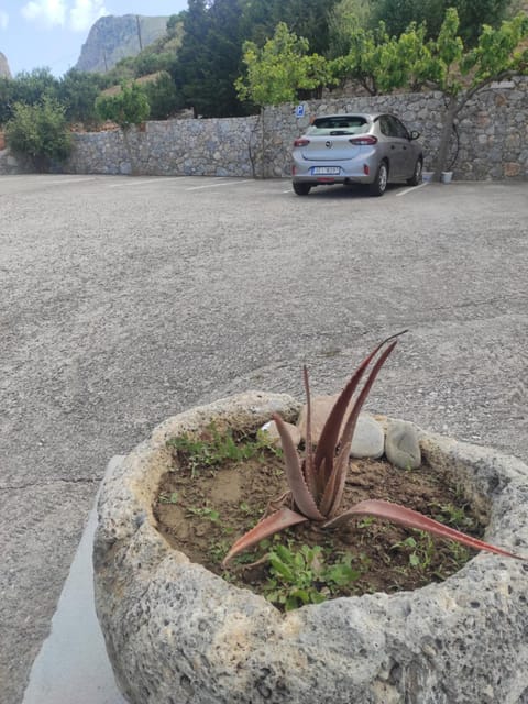 Chrisanthi Studios & Apartments Apartment in Crete