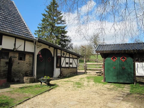 Property building, Garden, Animals, Pets, Garden view