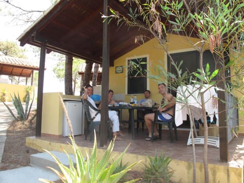 Kitchen or kitchenette, Living room, Decorative detail