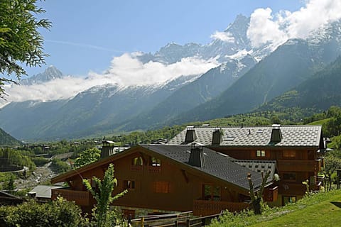 Spacious Apartment 2 Minutes from Ski Lift, Equipped for Babies Apartment in Les Houches