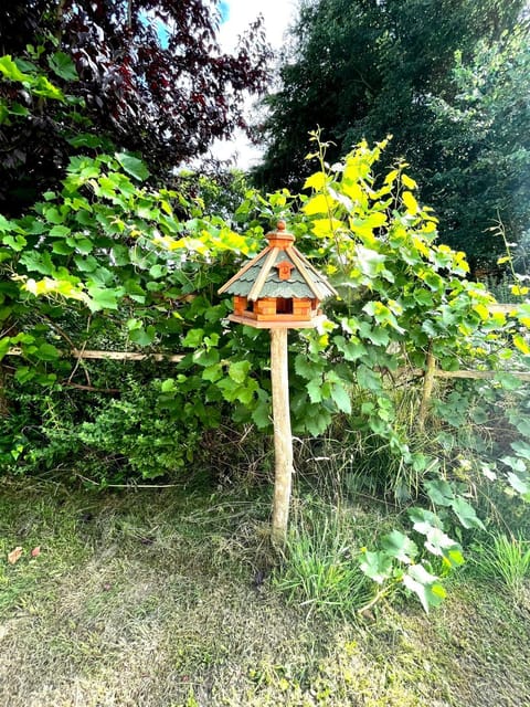 Natur&Meer: Ferienwohnung im idyllischen Landhaus Apartment in Mecklenburg-Vorpommern, Germany
