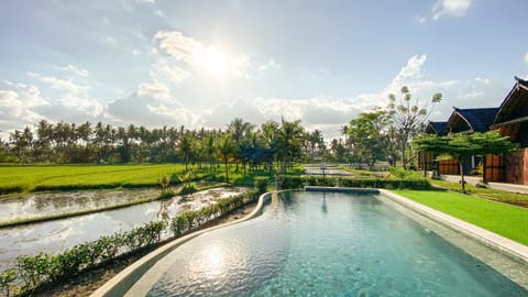 Natural landscape, Pool view, Swimming pool