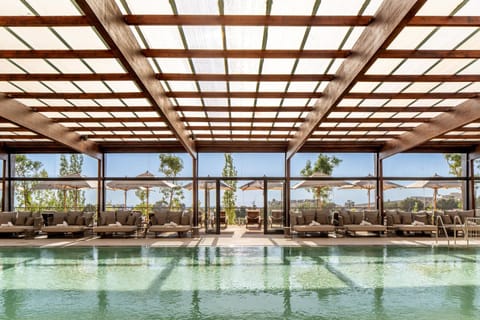 Day, Pool view, Swimming pool