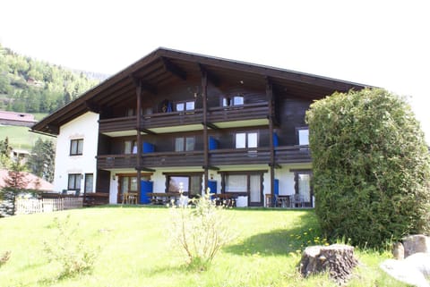 Property building, Day, Garden