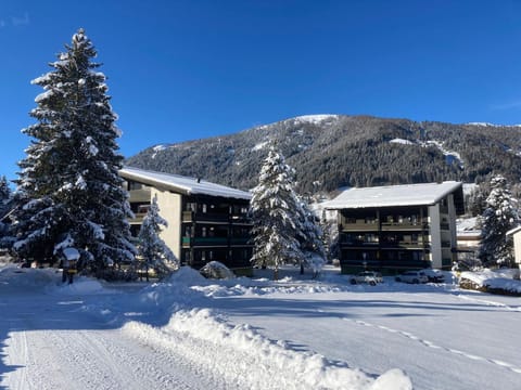 Property building, Winter