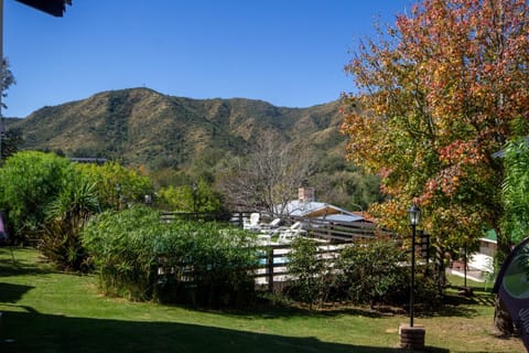 Garden, Swimming pool