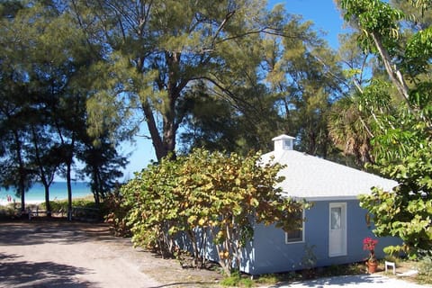 Property building, Natural landscape, Beach