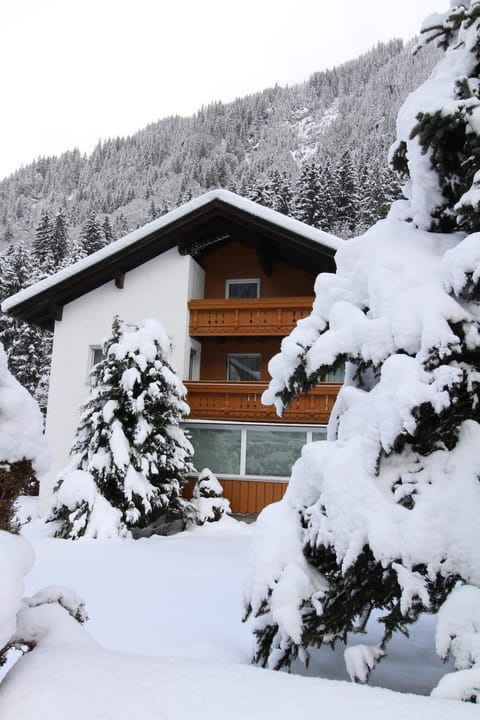 Property building, Winter