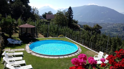 Natural landscape, Garden, Garden view, Pool view, Swimming pool