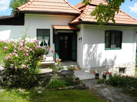 Facade/entrance, Garden