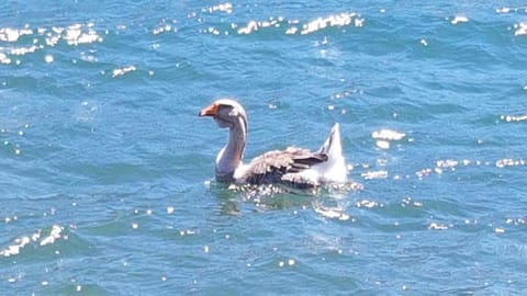 Casa vacanze Filippo House in Province of Lecco