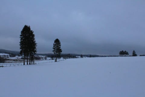 Off site, Natural landscape, Winter