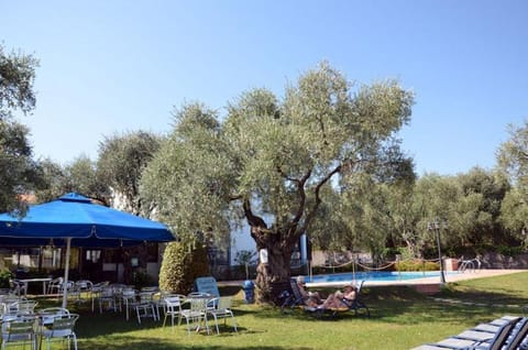 Day, Garden, Lounge or bar, Swimming pool