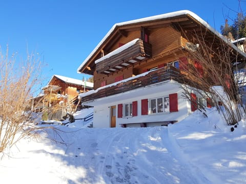 Property building, Winter