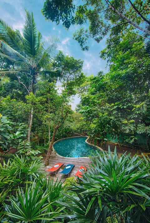 Day, Natural landscape, Garden, Garden view, Pool view, Swimming pool