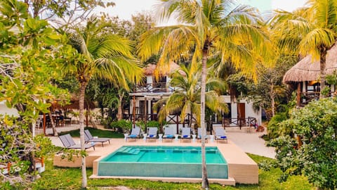 Garden, Garden view, Pool view, Swimming pool, sunbed
