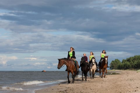 Horse-riding, Horse-riding