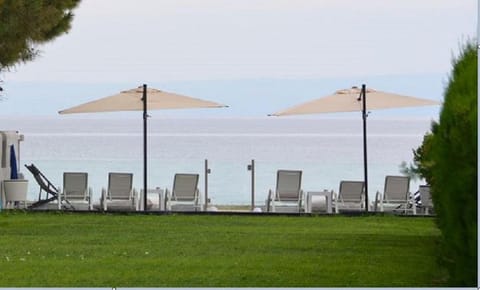 Garden, Beach