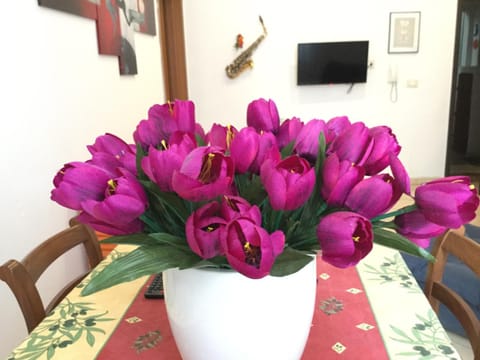 New Alex Home. Al Teatro. Apartment in Livorno