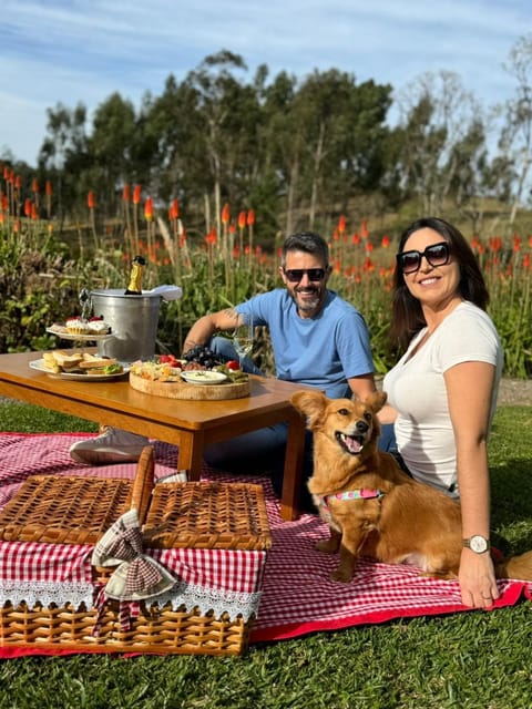 Day, People, Pets, Guests