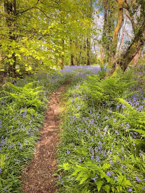 Spring, Natural landscape, Garden view