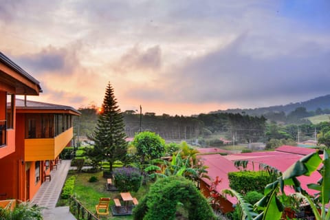 City view, Garden view, Mountain view