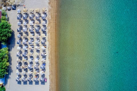 Restaurant/places to eat, Beach