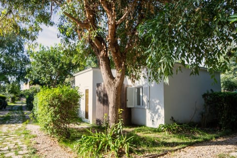 Procida Camp & Resort - La Caravella Campground/ 
RV Resort in Campania