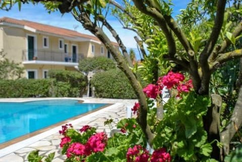 Day, Pool view, Swimming pool