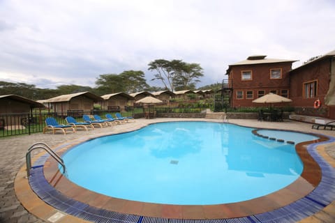 Pool view, Swimming pool